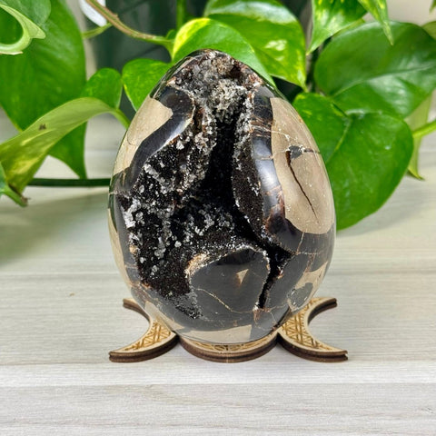 Septarian Free Form 88 3 - Kenna's Crystals from TikTok