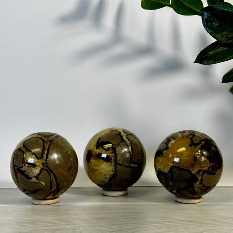 Septarian Sphere 66 4 - Kenna's Crystals from TikTok