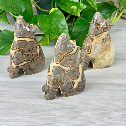Septarian Wolf 1 - Kenna's Crystals from TikTok