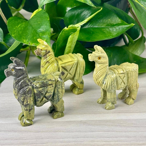 Serpentine Alpaca 1 - Kenna's Crystals from TikTok