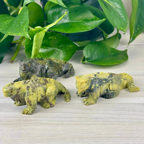 Serpentine Iguana 1 - Kenna's Crystals from TikTok