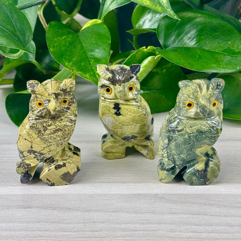 Serpentine Owl 44 1 - Kenna's Crystals from TikTok