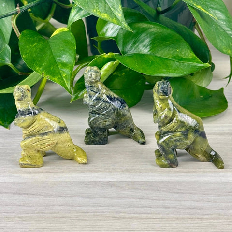 Serpentine Tyrannosaurus Rex 1 - Kenna's Crystals from TikTok