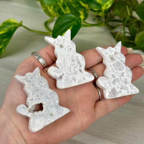 Snow Agate Kitty 1 - Kenna's Crystals from TikTok