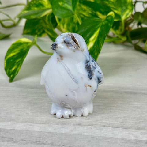 Snow Agate Penguin 99 4 - Kenna's Crystals from TikTok