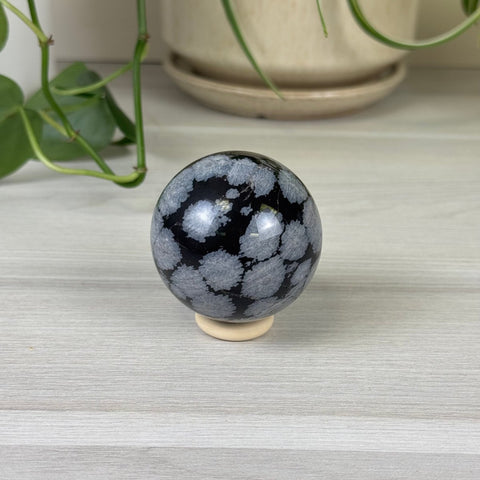 Snowflake Obsidian Sphere 22 2 - Kenna's Crystals from TikTok