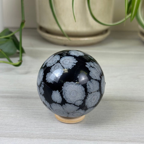Snowflake Obsidian Sphere 44 4 - Kenna's Crystals from TikTok