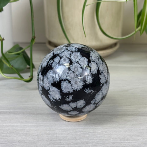 Snowflake Obsidian Sphere 66 6 - Kenna's Crystals from TikTok