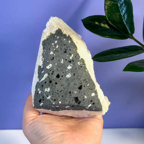 Soft pink apophyllite crystal with a dark gray matrix and white inclusions, held in a hand.
