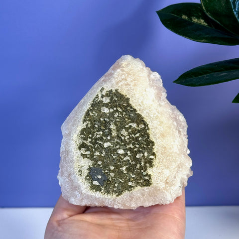 Soft pink apophyllite crystal specimen with a dark green druzy cavity, held in a hand.