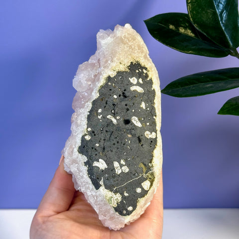 Soft pink apophyllite crystal with a dark gray and white speckled matrix, held in hand.