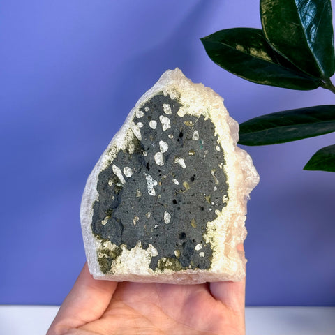 Soft pink apophyllite crystal with a dark gray, speckled center held in a hand.