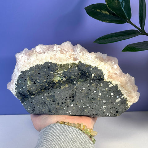 Soft pink apophyllite crystal cluster on dark matrix held by a hand, with a plant in the background.