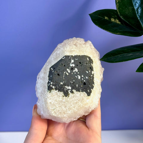 Soft pink apophyllite crystal with a dark gray, speckled inclusion held in a hand.