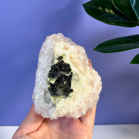 Soft pink apophyllite crystal cluster with a dark inclusion, held in a hand.