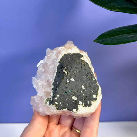 Soft pink apophyllite crystal cluster with a dark, textured matrix and small white inclusions.