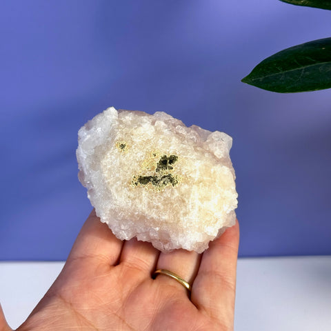 Hand holding a soft pink apophyllite crystal cluster with sparkling golden pyrite inclusions.