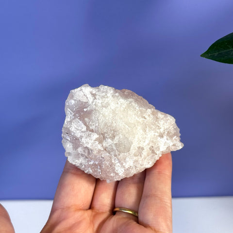 Soft pink apophyllite crystal cluster held in a hand against a purple background.