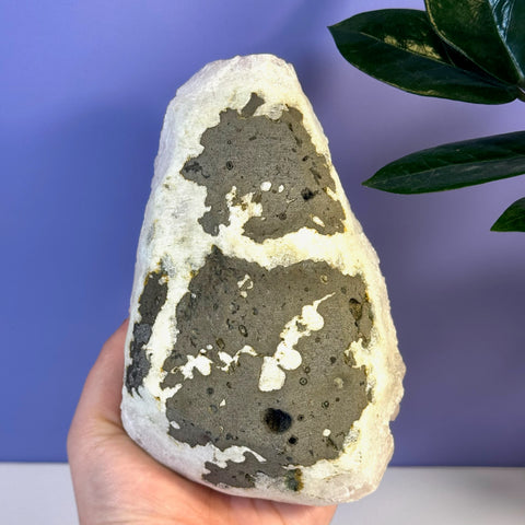 Soft pink apophyllite crystal with white and dark gray mottled patterns, held against a purple background.