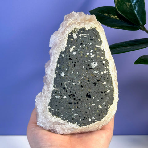 Hand holding a soft pink apophyllite crystal with a dark gray, speckled center.