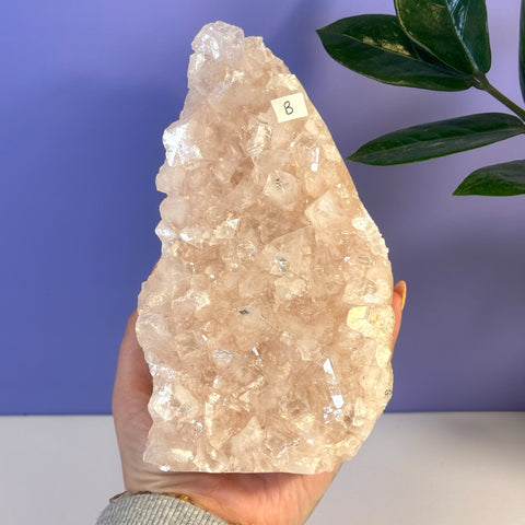 Hand holding a large, rough soft pink Apophyllite crystal cluster, variant B.