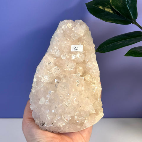 Soft pink Apophyllite crystal cluster, variant C, held in hand against a purple background.