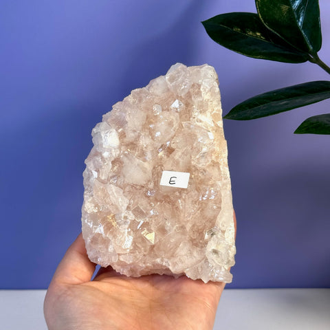 Hand holding a large, rough-cut soft pink Apophyllite crystal cluster with many facets.
