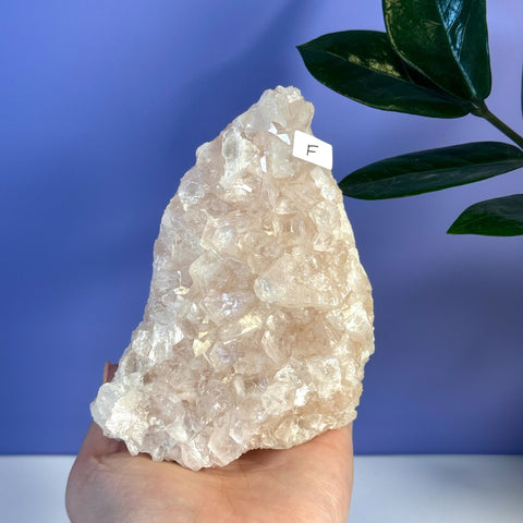 Soft pink apophyllite crystal cluster, variant F, held in hand against a purple background.