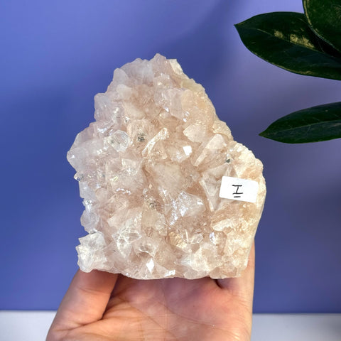 Soft pink Apophyllite crystal cluster, held in hand, with a small "I" label.