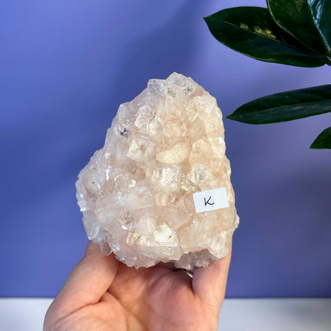 Hand holding a large, rough soft pink Apophyllite crystal cluster with cubic formations.