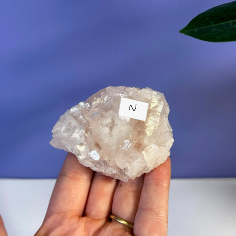 Hand holding a soft pink apophyllite crystal with sparkling facets and a white "N" label.