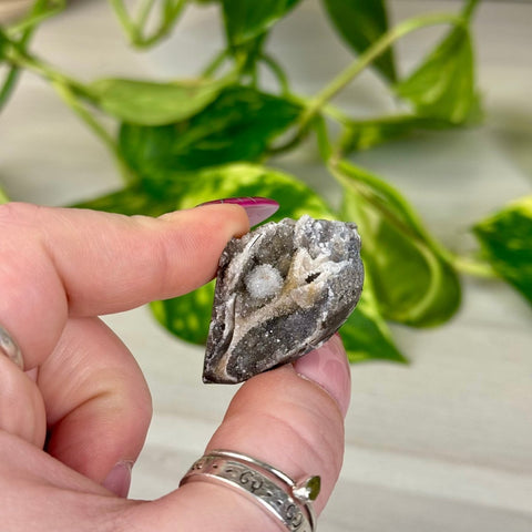 Spiralite Shell 22 1 - Kenna's Crystals from TikTok