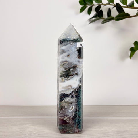 Spooky Statement Moss Agate Tower - Kenna's Crystals