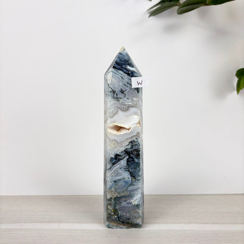 Spooky Statement Moss Agate Tower - Kenna's Crystals