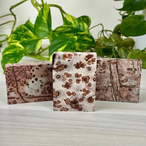 Spotted Painting Stone Slab 1 - Kenna's Crystals from TikTok