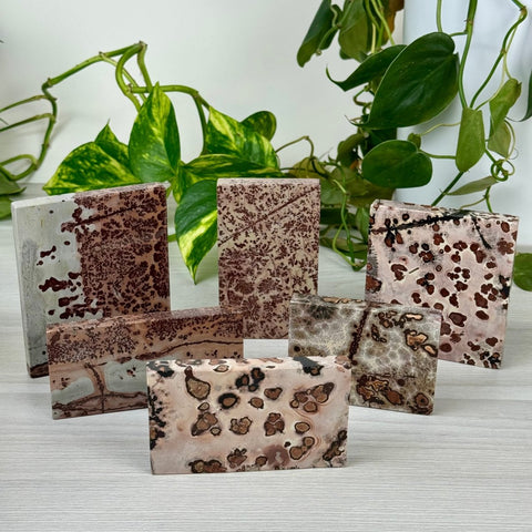 Spotted Painting Stone Slab 2 - Kenna's Crystals from TikTok