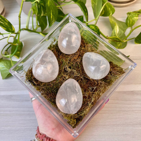 Star Rose Quartz Egg 22 2 - Kenna's Crystals from TikTok