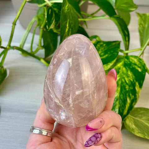 Star Rose Quartz Egg 55 5 - Kenna's Crystals from TikTok
