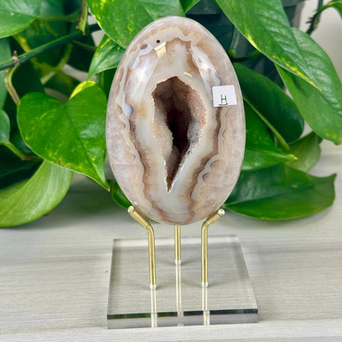 Statement Druzy Agate Egg with Stand H 8 - Kenna's Crystals from TikTok