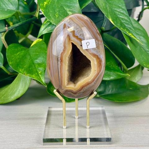 Statement Druzy Agate Egg with Stand P 16 - Kenna's Crystals from TikTok