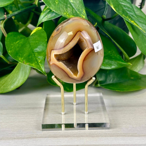 Statement Druzy Agate Egg with Stand W 23 - Kenna's Crystals from TikTok