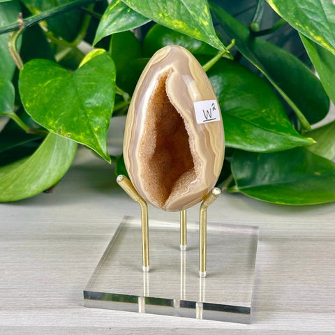 Statement Druzy Agate Egg with Stand W2 49 - Kenna's Crystals from TikTok