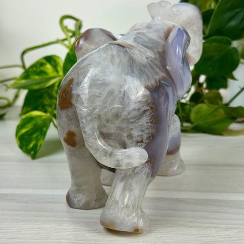 Statement Druzy Agate Elephant - Annabel 4 - Kenna's Crystals from TikTok