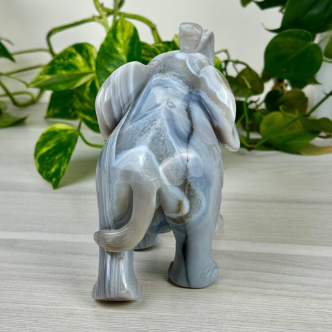 Statement Druzy Agate Elephant - Bailey 4 - Kenna's Crystals from TikTok