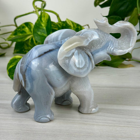 Statement Druzy Agate Elephant - Bailey 5 - Kenna's Crystals from TikTok