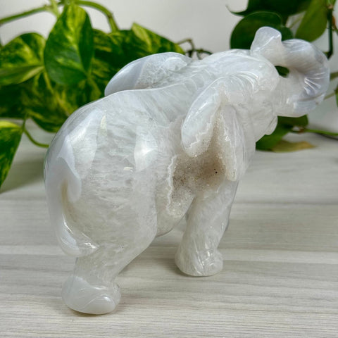 Statement Druzy Agate Elephant - Clara 4 - Kenna's Crystals from TikTok