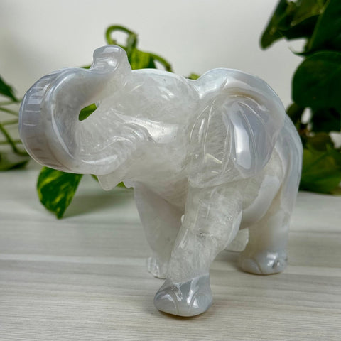 Statement Druzy Agate Elephant - Clara 5 - Kenna's Crystals from TikTok