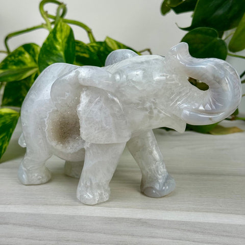 Statement Druzy Agate Elephant - Clara 1 - Kenna's Crystals from TikTok
