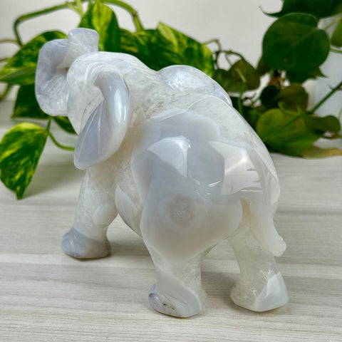 Statement Druzy Agate Elephant - Clara 3 - Kenna's Crystals from TikTok