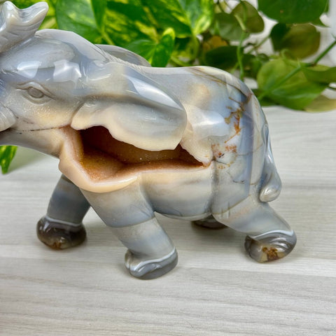 Statement Druzy Agate Elephant - Dahlia 6 - Kenna's Crystals from TikTok